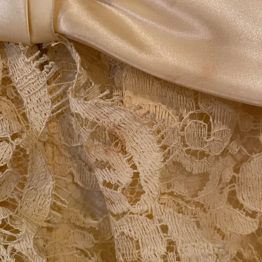 Vintage Formal Dress - Picture 16 of 17